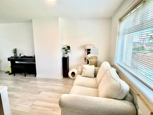 Single In 3 Bedroom House *