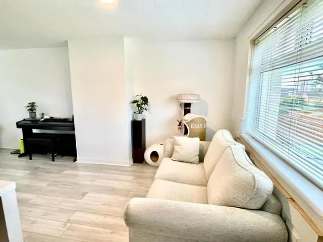 Single Room In 3 Bedroom House